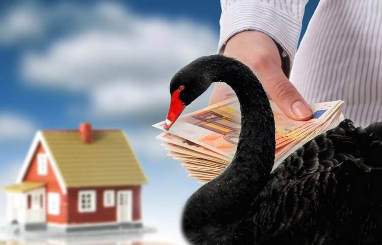 «Черный лебедь» прилетел: в какую недвижимость лучше вложиться в кризис