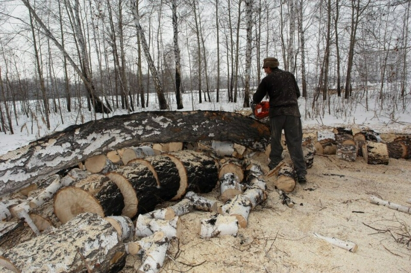 В России бесплатно подключили к газу 7,5 тыс. домовладений