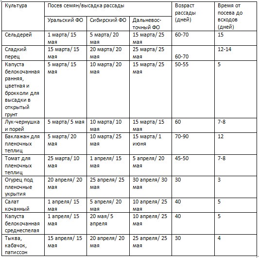 Когда садить рассаду помидор в сибири. Возраст рассады для высадки. Сроки посева семян среднеспелых томатов на рассаду. Сроки посева баклажан на рассаду. Лук на рассаду семенами сроки посадки.